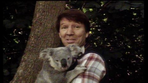 Presenter Don Spencer holds a koala