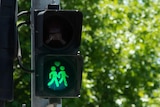 A same-sex male couple on a Canberra pedestrian light