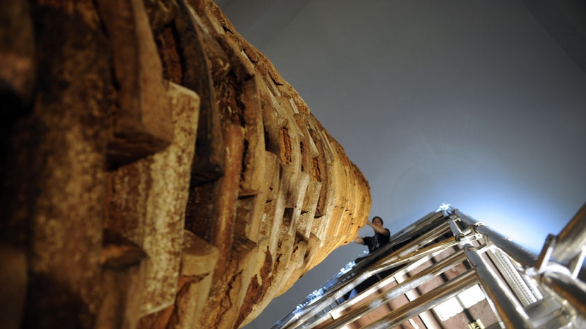 A worker puts the finishing touches on the world's largest cake in Paris, France on July 1, 2010.
