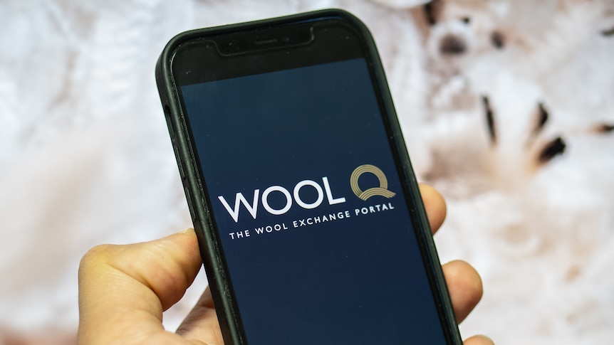 A person's hand holding a smartphone with the WoolQ logo displayed on the screen.