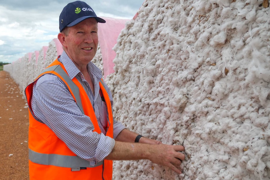 Rick Jones wear a cap and high vis vest while inspecting a freshly picked cotton bale.