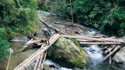 A trekker walking the Kokoda Trail