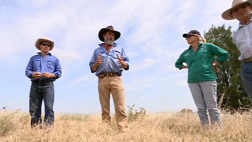 Farmer Charlie Arnott standing in a paddock with three other people from the local Landcare group.