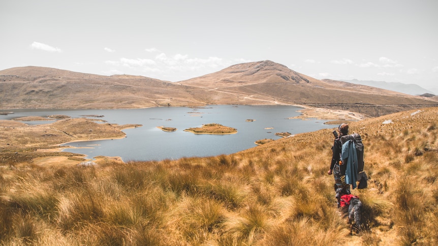 A woman and a dog look out onto a vast mountain landscape with a large lake. 