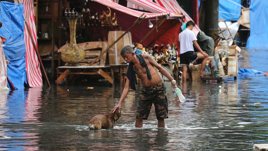 A man pets a dog along a flooded street caused by rains from Typhoon Nock-Ten in Quezon city, north of Manila, Philippines
