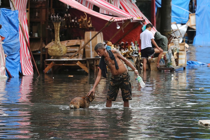 A man pets a dog along a flooded street caused by rains from Typhoon Nock-Ten in Quezon city, north of Manila, Philippines