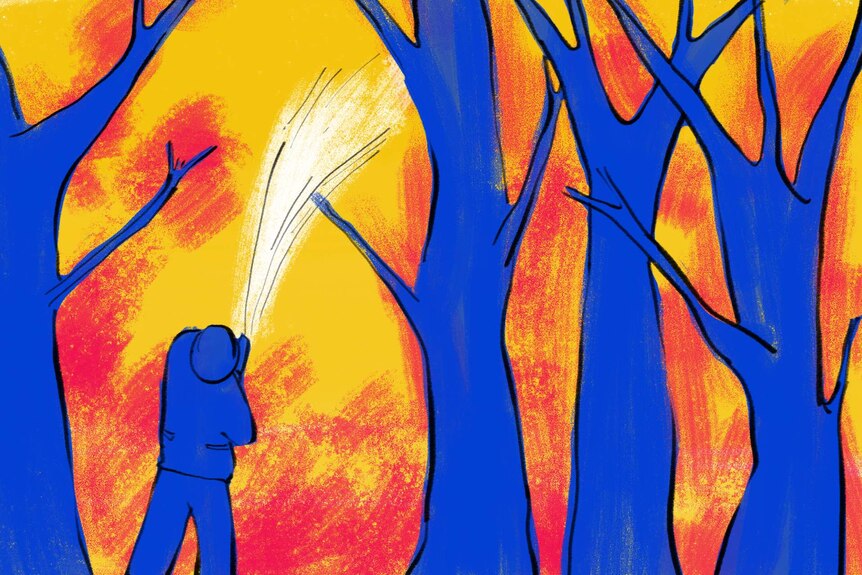 Drawing of a firefighter with a hose in front of tall burning trees to depict bushfire survivor stories.