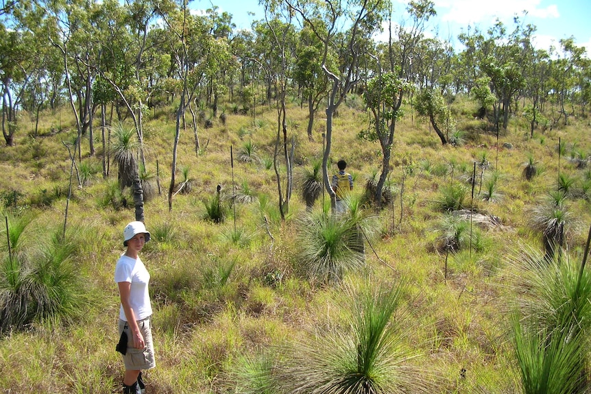 People walking through an open grassland.