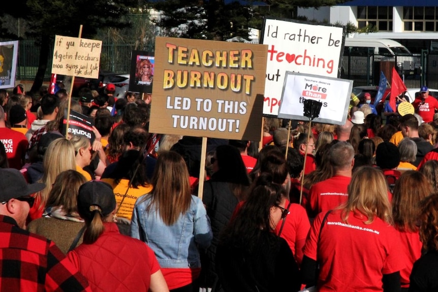 The backs of people holding signs