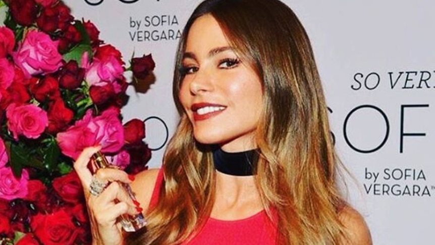 A lawsuit has been filed on behalf of actor Sofia Vergara and her ex-partner's embryos.