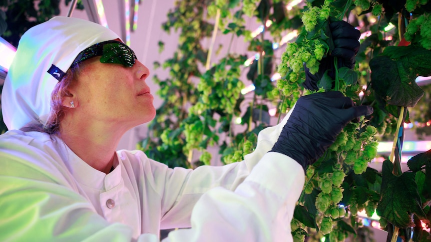 A woman wearing white and dark sunglasses tends to a plant inside.