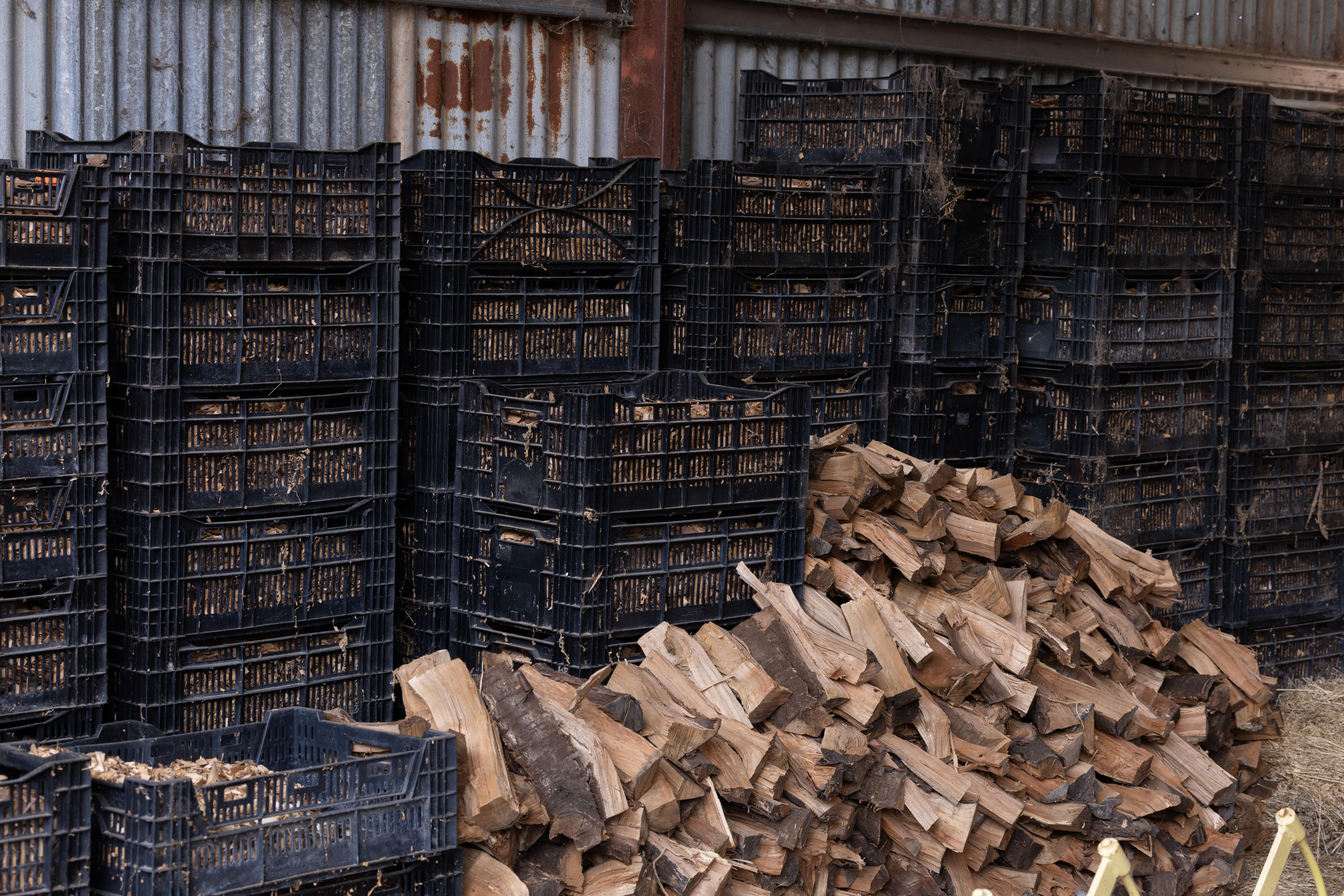 A crate of wood timbers, with a hand holding a fist full. 