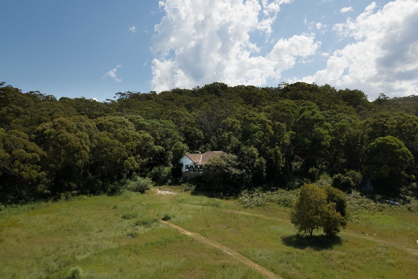 an aerial view of a derelict looking house in the woods