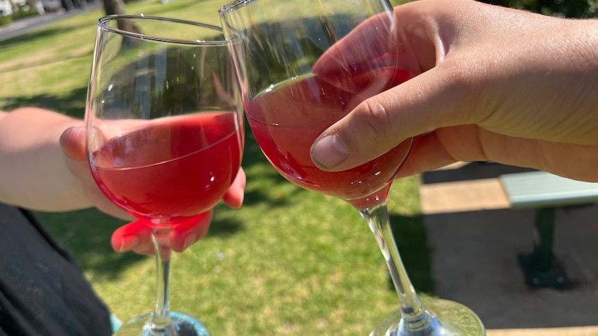 Two hands clinking wine glasses containing a cloudy pink wine