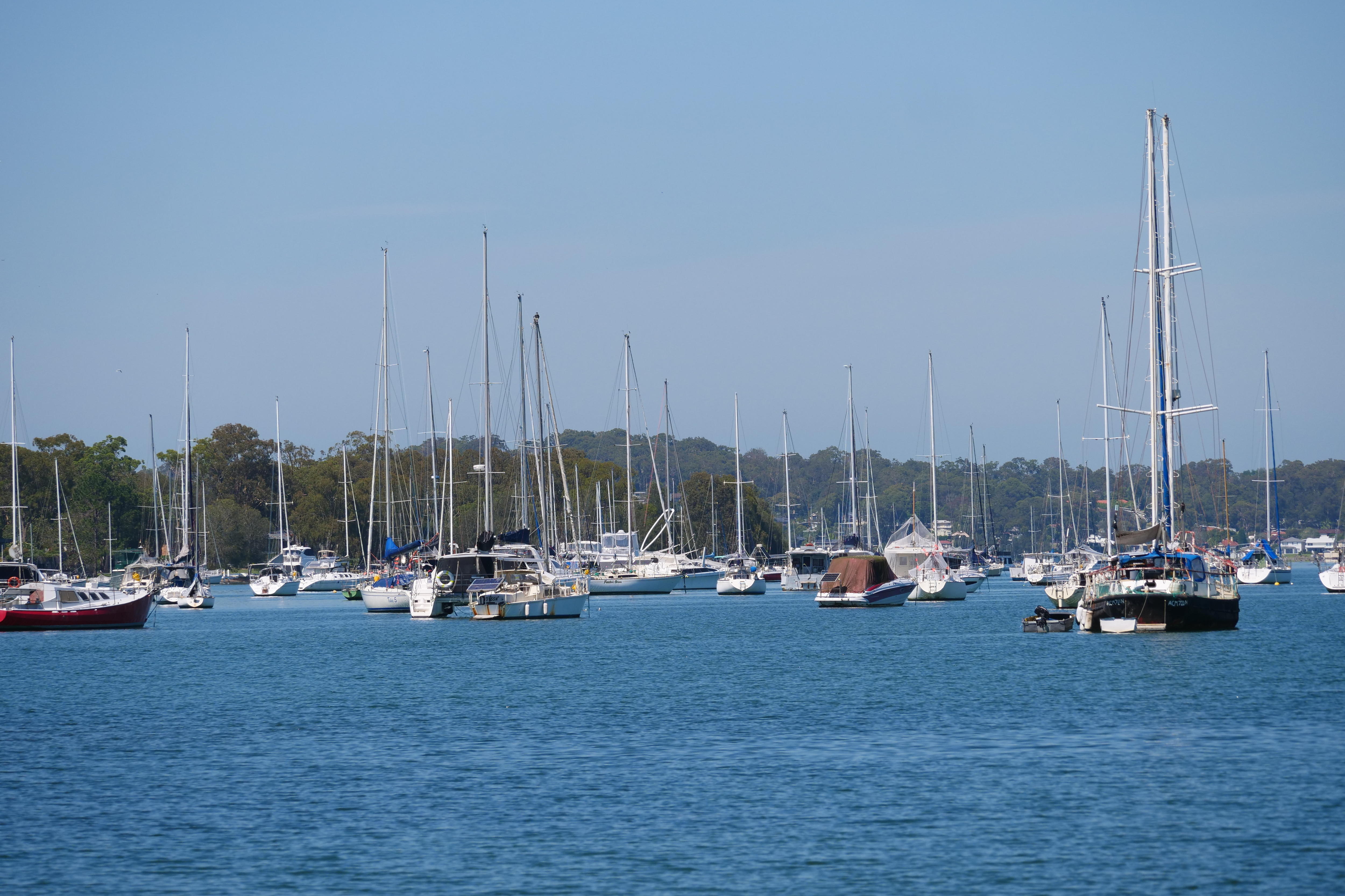 A wide shot of several boats moored on a lake