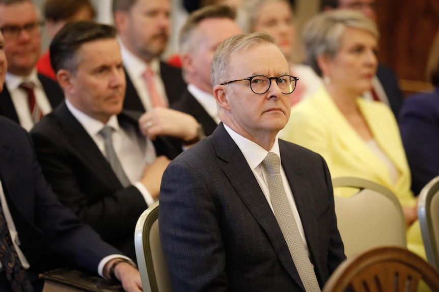 Albanese is seated in front of Tanya Plibersek and Mark Butler. He is looking at the camera.