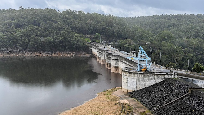 Debris sits on the surface of water next to a dam wall.