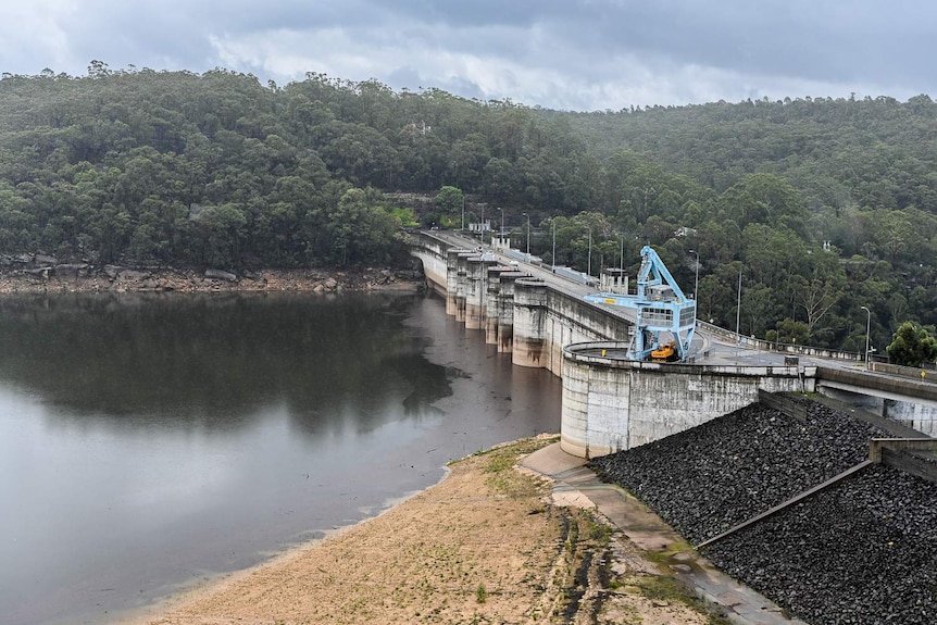 Debris sits on the surface of water next to a dam wall.