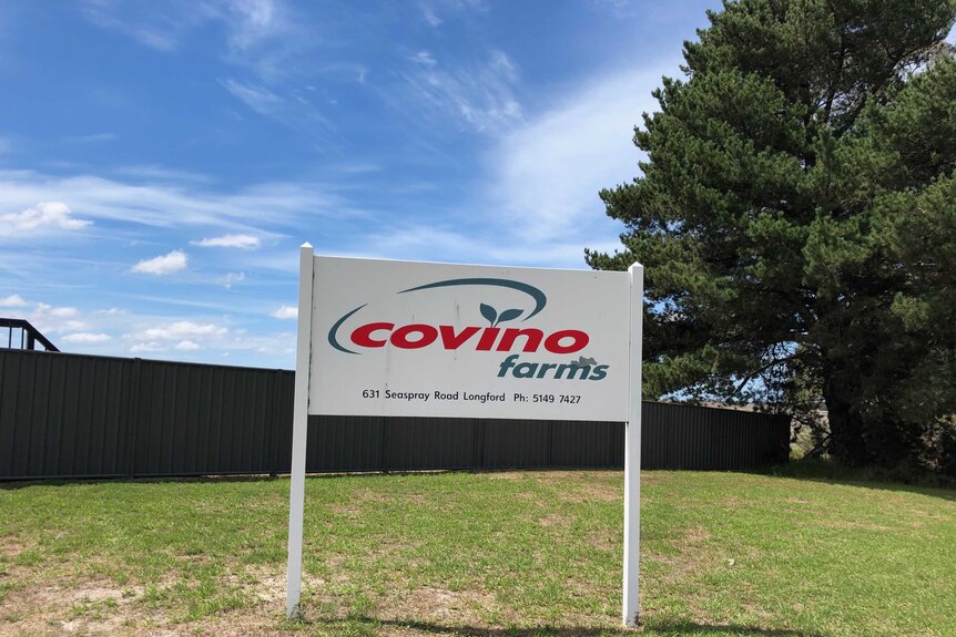 A white sign reading 'Cavino Farms' near a large fence.