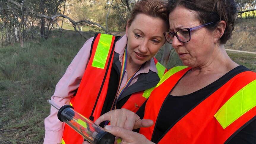 Two women in high vis vests looking at grasshoppers.