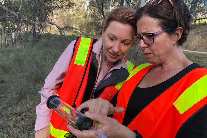 Two women in high vis vests looking at grasshoppers.