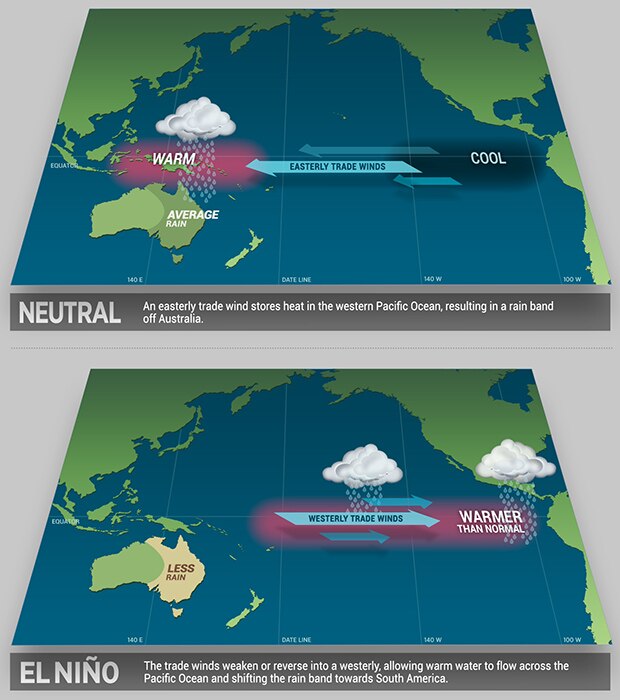 Neutral and El Nino diagrams showing differences between temperatures and trade winds during both events.
