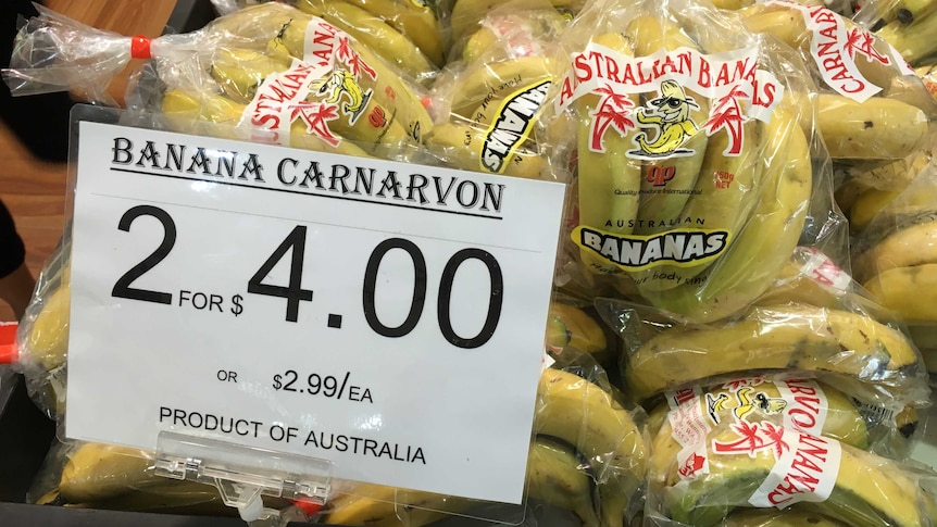 Bananas from Queensland and Carnarvon, WA, sit together behind a sign advertising Carnarvon bananas.