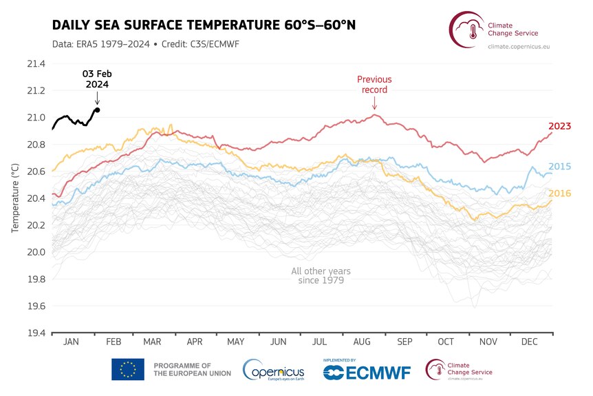 A graph showing the daily sea surface temperature from recent years.