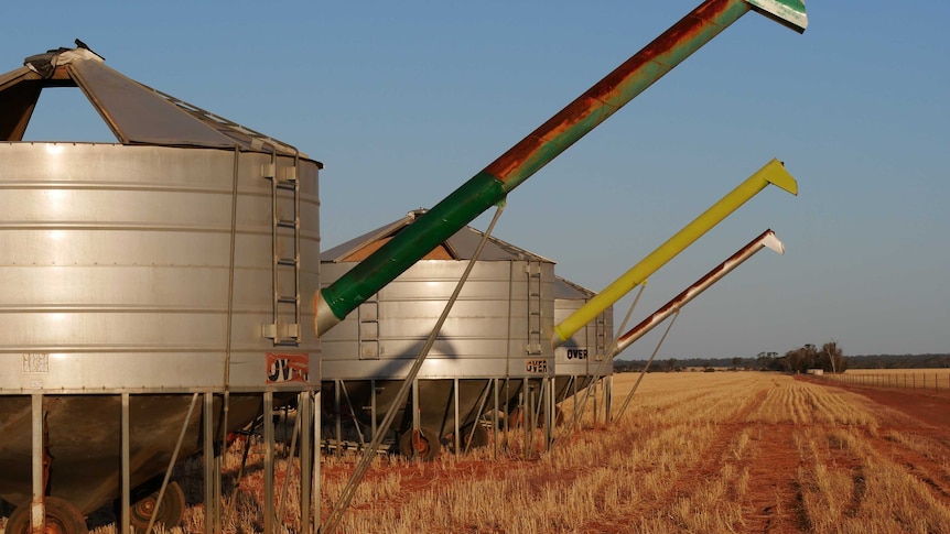 Grain silo in paddock