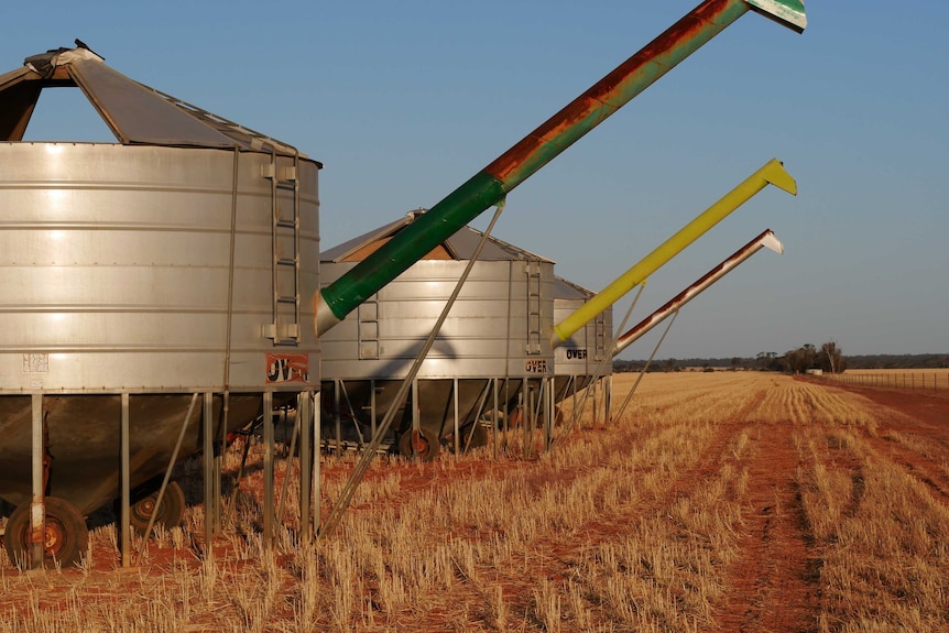 A grain silo in a paddock. 