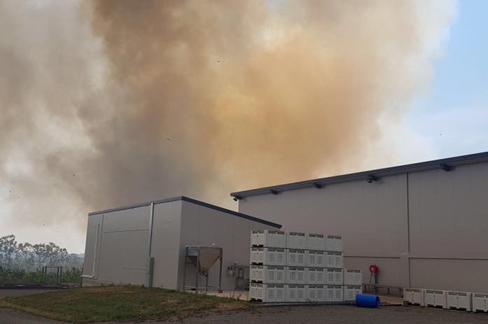 A factory with a plume of smoke behind it.