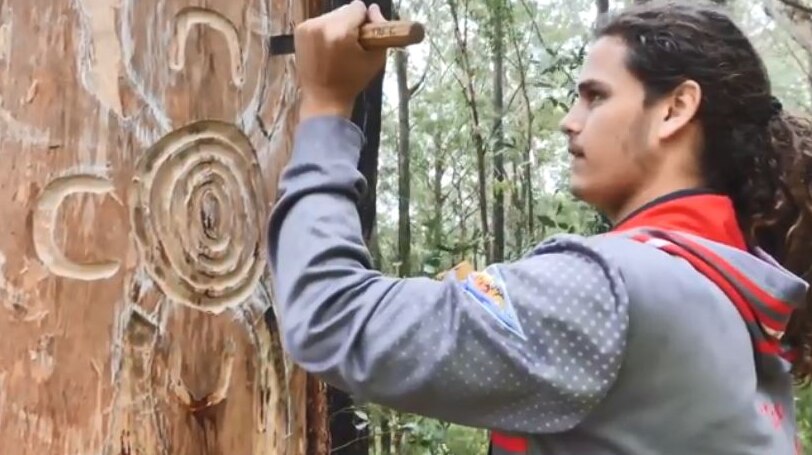 A young man with long hair sticks a chisel into a large tree.