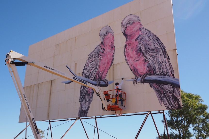 A man stands in basket of a cherry picker painting a large screen with pink and grey galahs