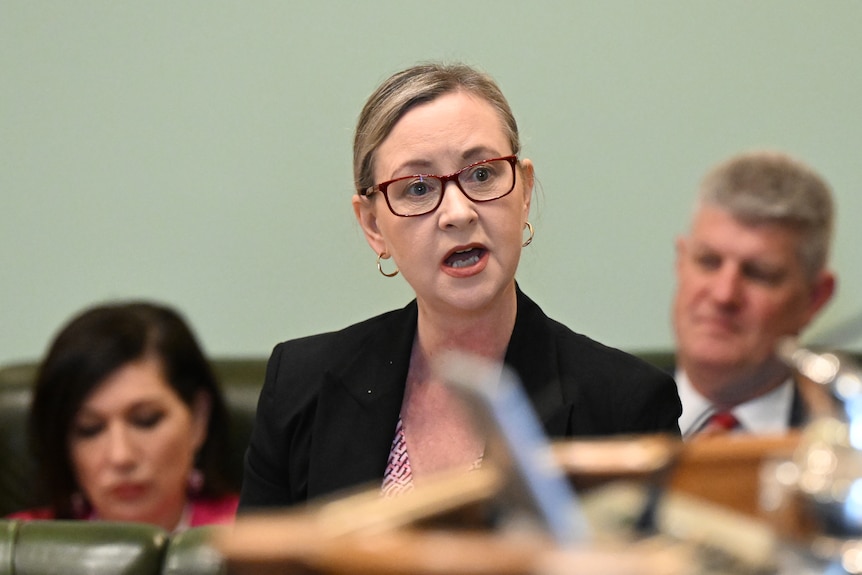 yvette d'ath speaks in parliament. she is wearing glasses and a black blazer