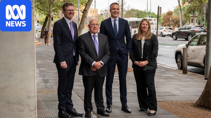 Three experts appointed to lead SA's Royal Commission into AI - ABC News & Headlines – Australian Broadcasting Corporation
