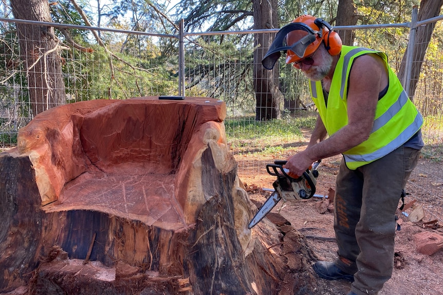 Man holding chainsaw next to tree stump.