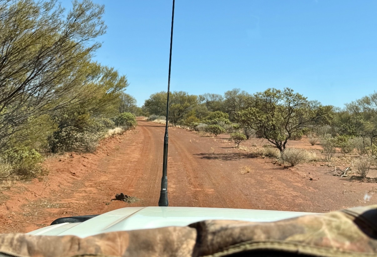 Antes de la lluvia, el paisaje en la Estación Carnegie era muy seco, con solo 120 mm de lluvia registrados para 2025. 