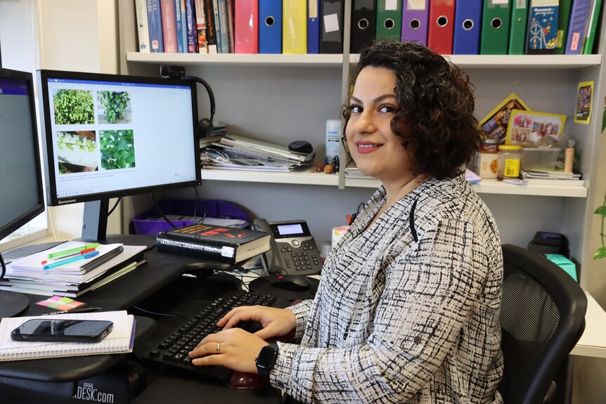 Elnaz Saki sits at her computer at her desk.