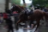 Horse bolts through protesters in London