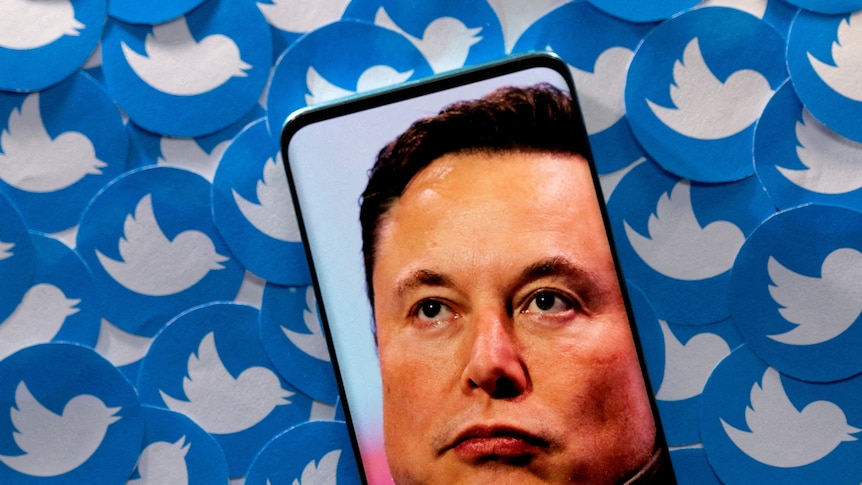 An image of Elon Musk is seen on a smartphone placed on a large number of printed Twitter logos