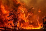 Members of the NSW Rural Fire Service battle a blaze