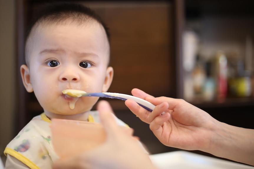 A baby stares directly into the camera with mouth closed as an adult hand holds food on a plastic spoon up to the baby's mouth.