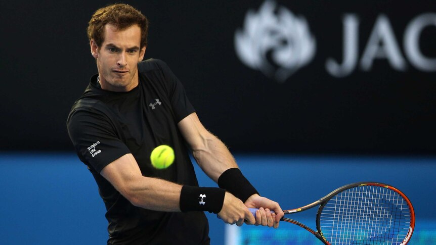 Singles victory ... Andy Murray