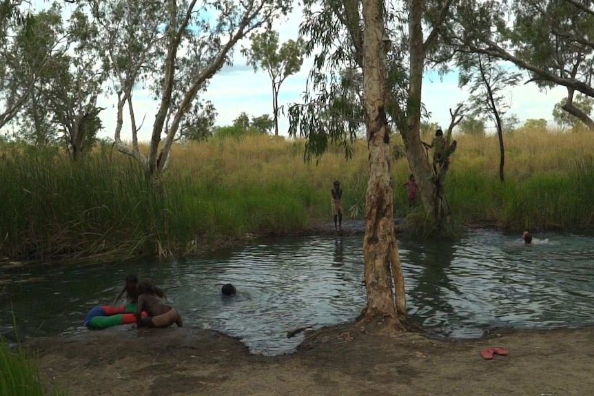 Children swimming in a billabong