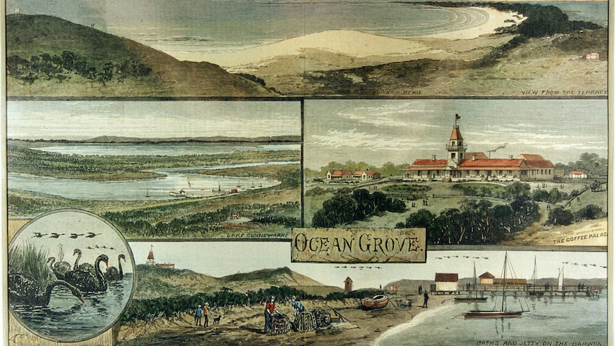 A postcard with five paintings including the ocean, a lake, a coffee palace, black swans and a jetty.