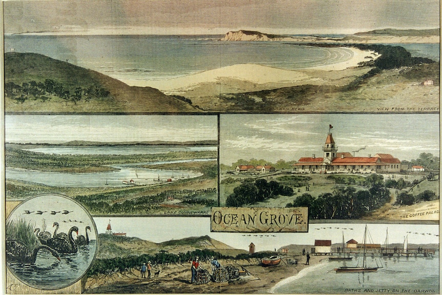 A postcard with five paintings including the ocean, a lake, a coffee palace, black swans and a jetty.