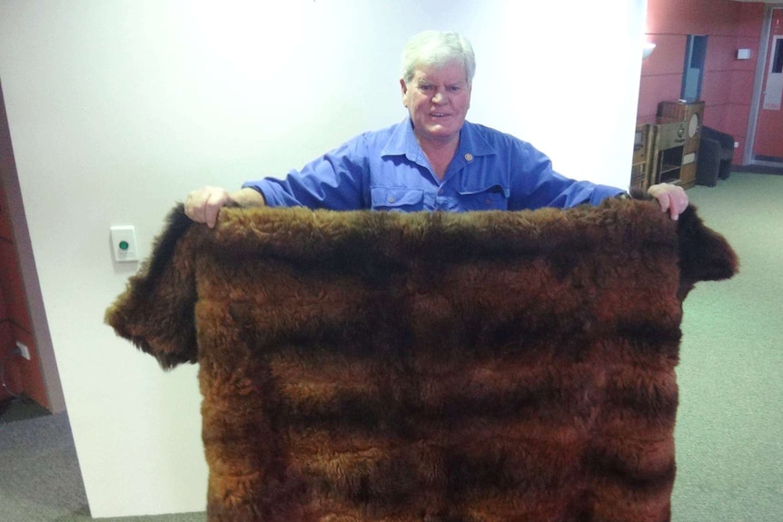 Photograph of a man with white hair and blue shirt holding up a rug made from 34 possum skins