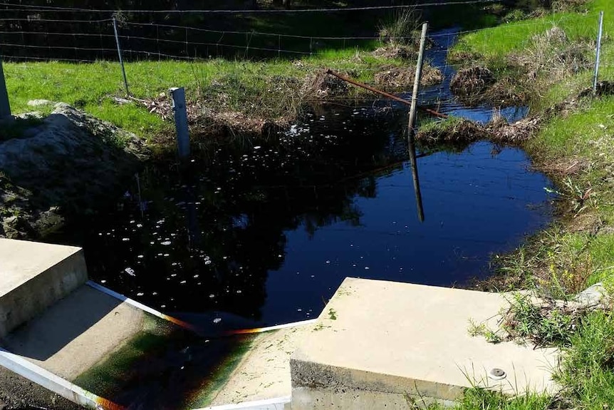 Un pequeño arroyo rodeado de hierba verde.