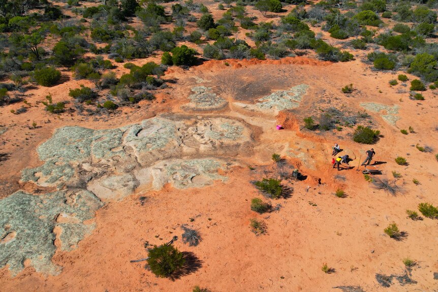 Aerial photo of rock formation and people at the edge, red dirt, green shrubs in background