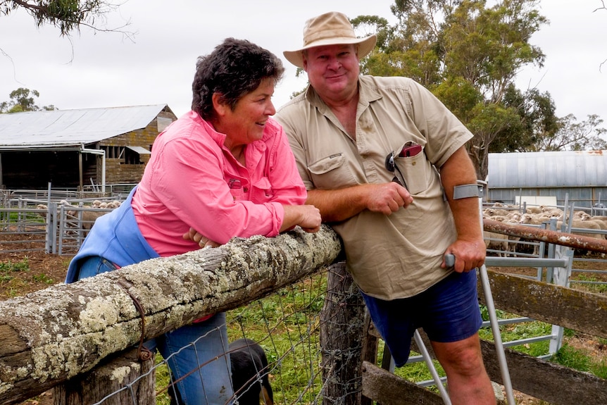 A woman leaning over the fence of a sheep yard, speaking to a man who has one leg and is using crutches